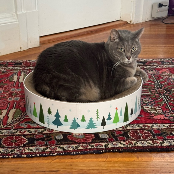 Ritual Treasures - Live with Dani - Picture 5 of 8